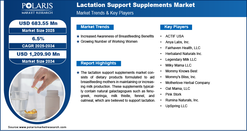 Lactation Support Supplements Market Share, Size